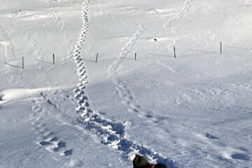 2023.1.11 美ヶ原・王ヶ頭～王ヶ鼻（雪山）