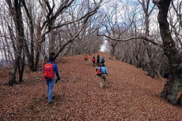 2023.1.22 沖ノ指山（尾根歩き）