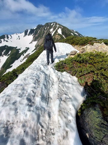 2022.6.4-5　仙丈ヶ岳（尾根歩き）