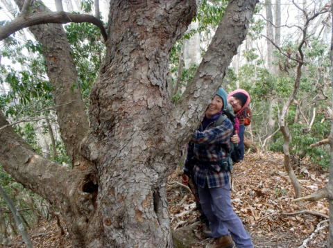 2019.1.20　登り尾根（尾根歩き）