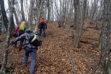 2019.1.20　登り尾根（尾根歩き）