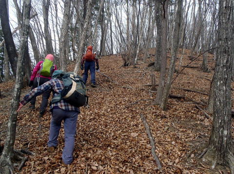 2019.1.20　登り尾根（尾根歩き）