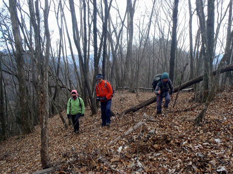 2019.1.20　登り尾根（尾根歩き）