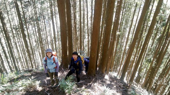 2019.1.27　川苔山（ハイキング）