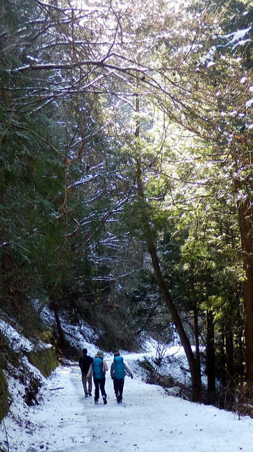 2019.2.2　武甲山（ハイキング）