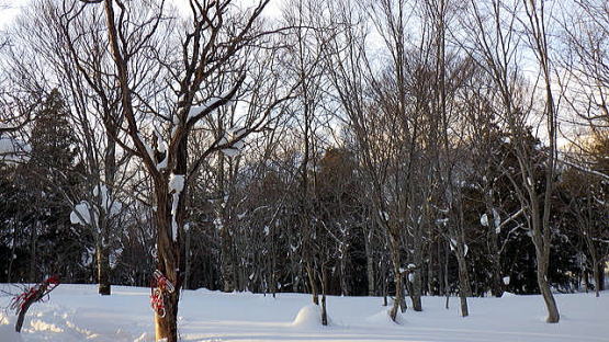 2022.2.12-13　赤沢山（雪山）