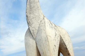 2022.2.19　陣馬山（尾根歩き）