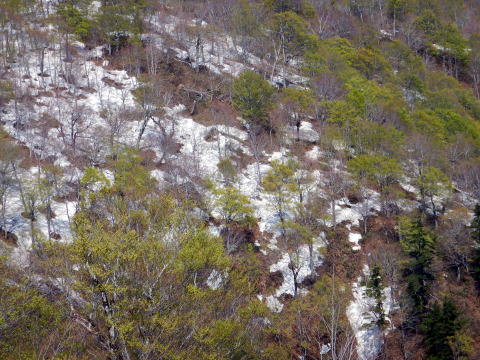 2022.5.3-5 会津駒ケ岳(雪山)