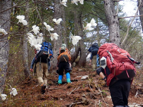 2022.5.3-5 会津駒ケ岳(雪山)