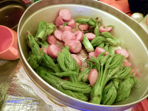 2022.5.3-5 会津駒ケ岳(雪山)