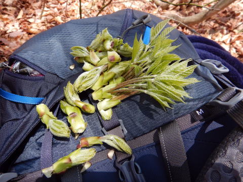 2022.5.3-5 会津駒ケ岳(雪山)