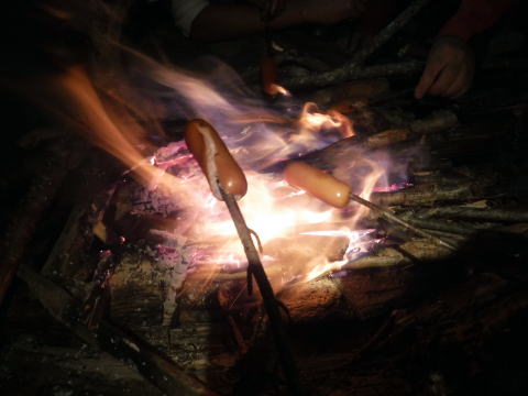 2022.5.15　大黒茂谷（沢登り）