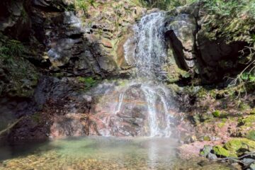 2026.3.20　伊豆・三階滝沢↓中ノ沢↑（沢登り）