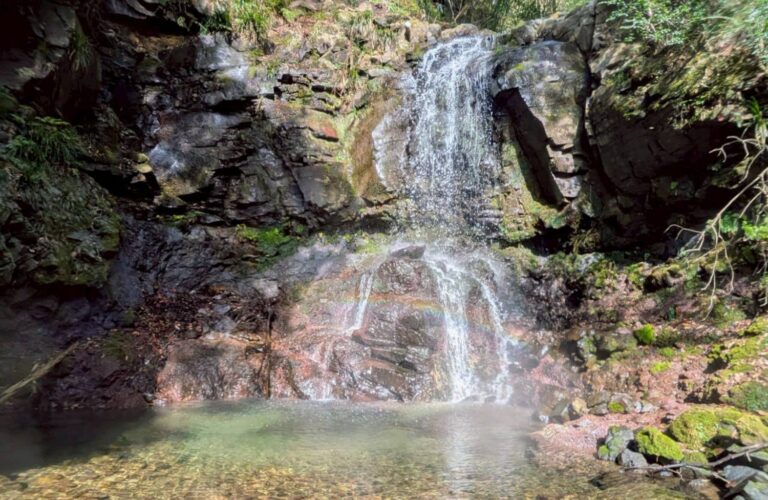 2026.3.20　伊豆・三階滝沢↓中ノ沢↑（沢登り）