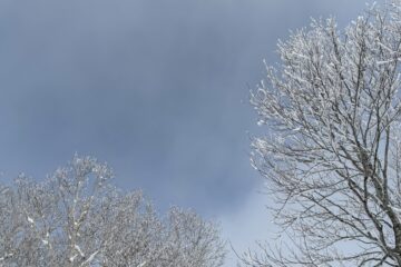 2026.3.14-15　タカマタギ・日白山（雪山）