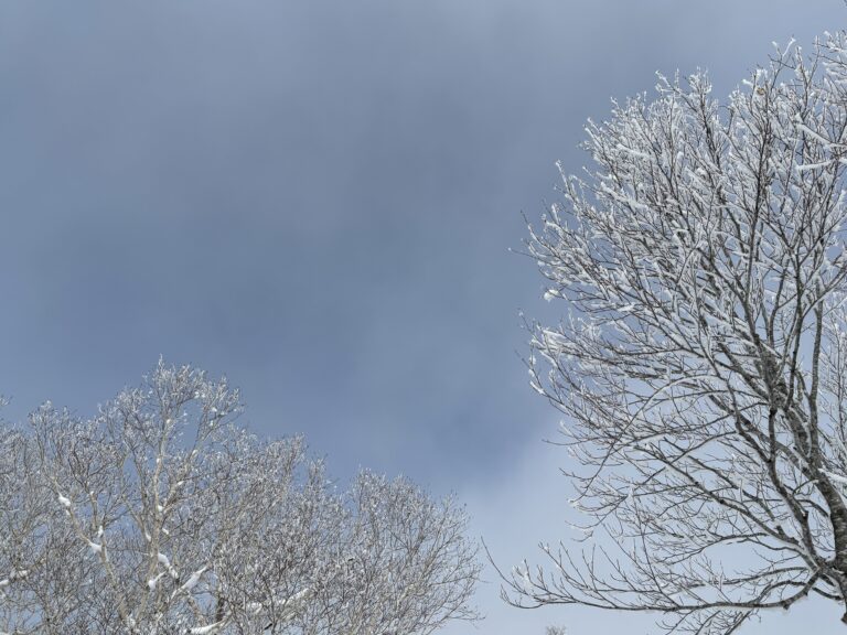 2026.3.14-15　タカマタギ・日白山（雪山）