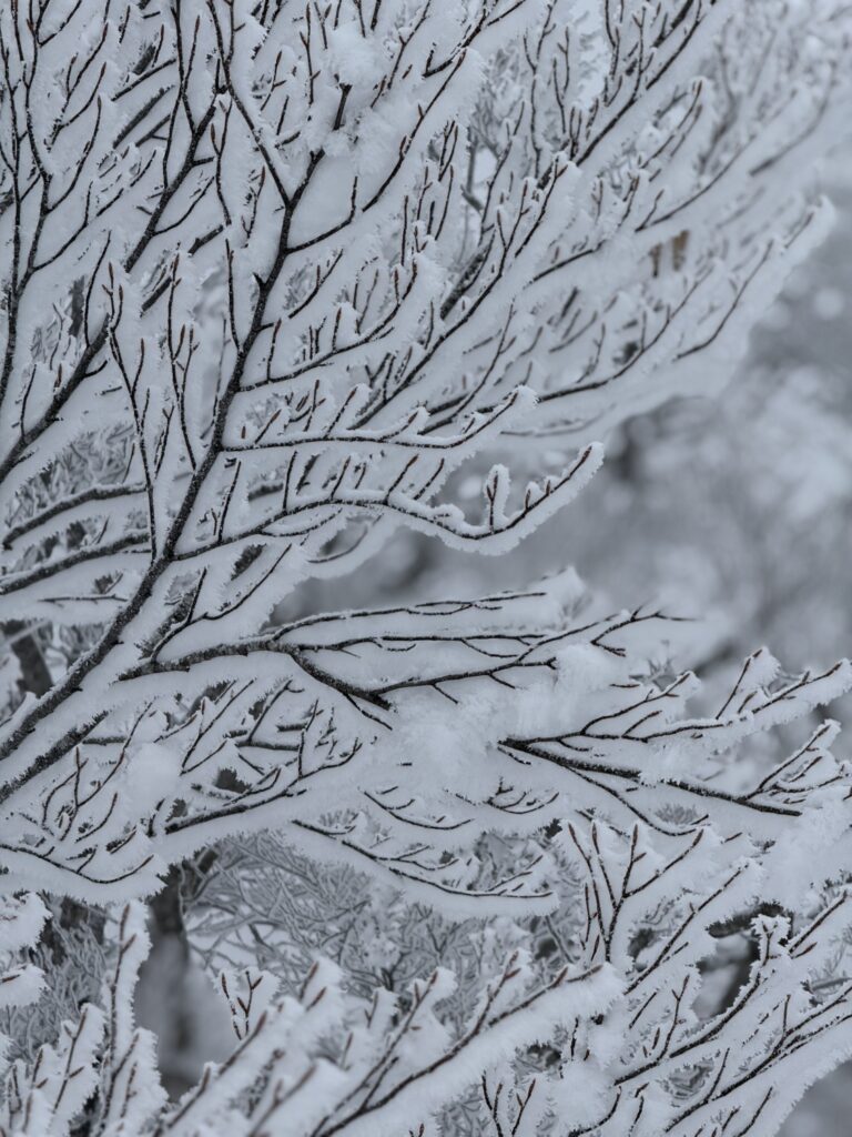 2026.3.14-15 タカマタギ・日白山(雪山)