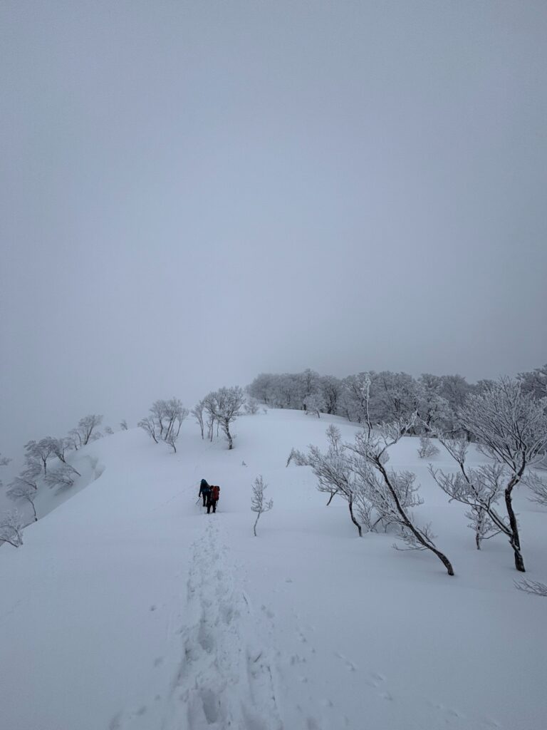 2026.3.14-15 タカマタギ・日白山(雪山)