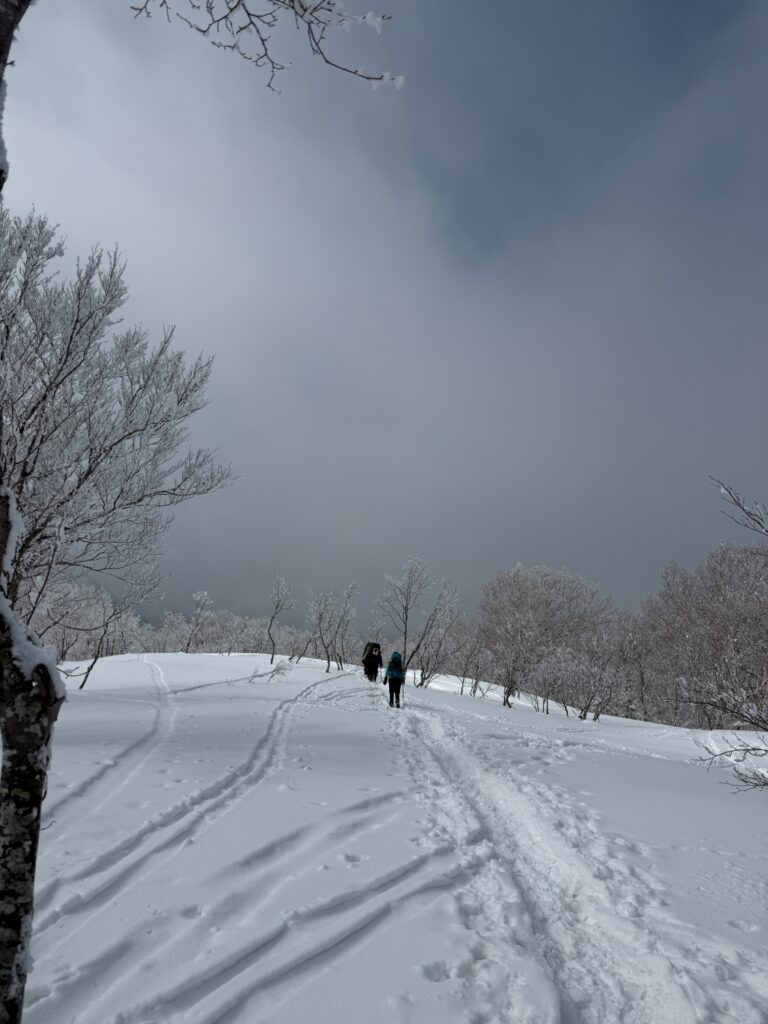 2026.3.14-15 タカマタギ・日白山(雪山)
