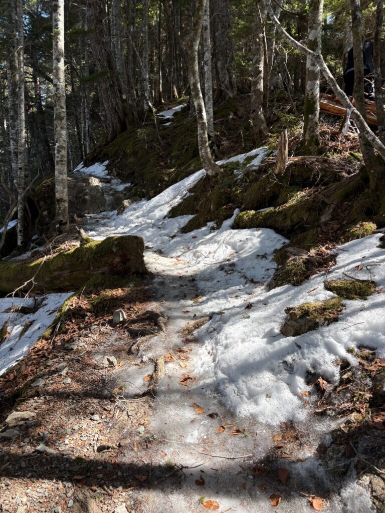 2026.3.21-23 南ア・塩見岳(雪山)