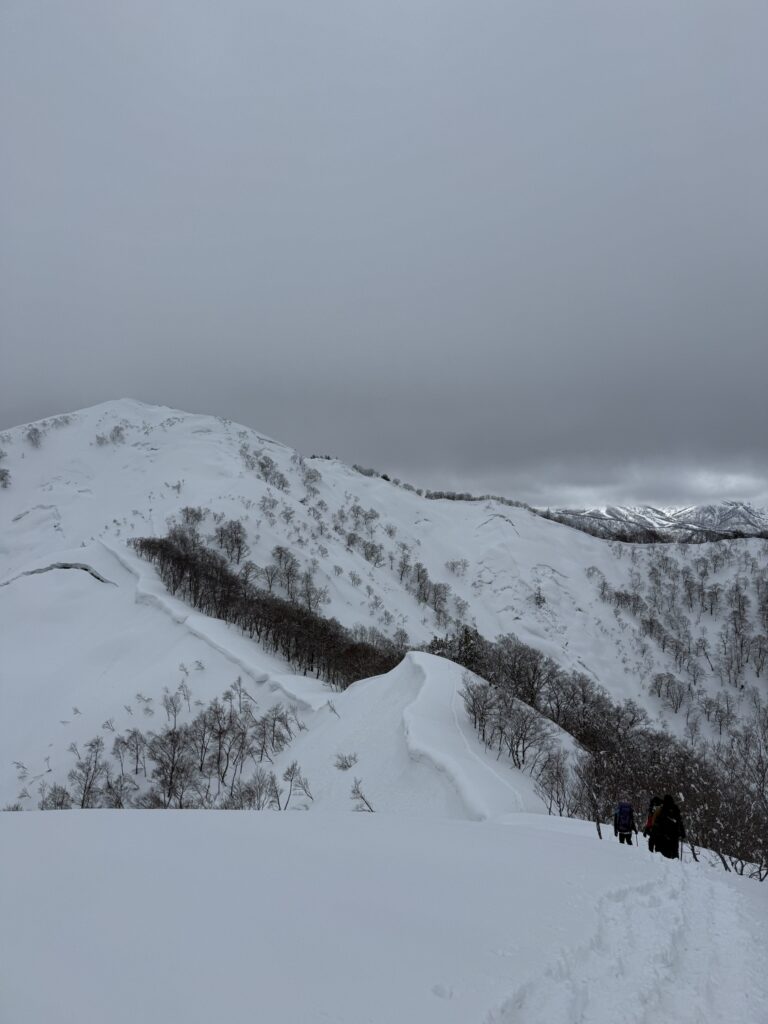 2026.3.14-15 タカマタギ・日白山(雪山)