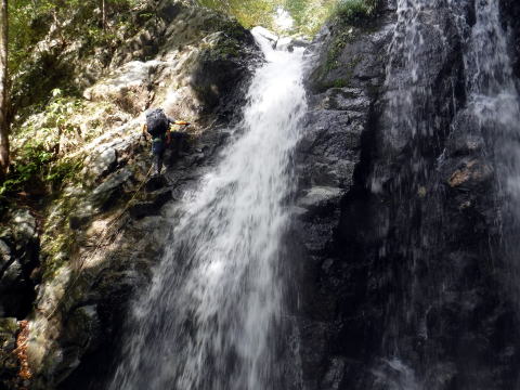 2020.10.25 水無川本谷(沢登り)