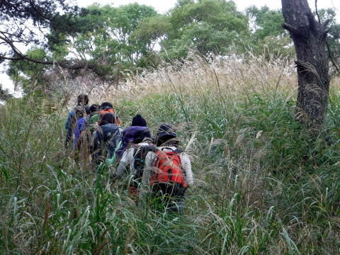 2020.10.11　帯那山周辺きのこ狩り（ハイキング）
