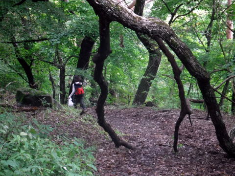 2020.10.11　帯那山周辺きのこ狩り（ハイキング）