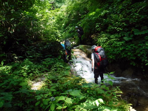 2020.8.14-16 奥只見・シロウ沢~中門沢~会津駒ヶ岳(沢登り)