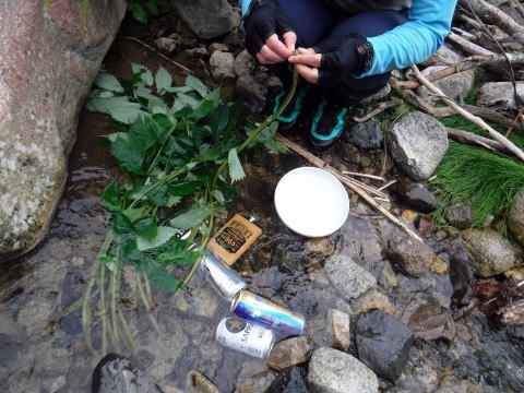 2020.8.14-16 奥只見・シロウ沢~中門沢~会津駒ヶ岳(沢登り)