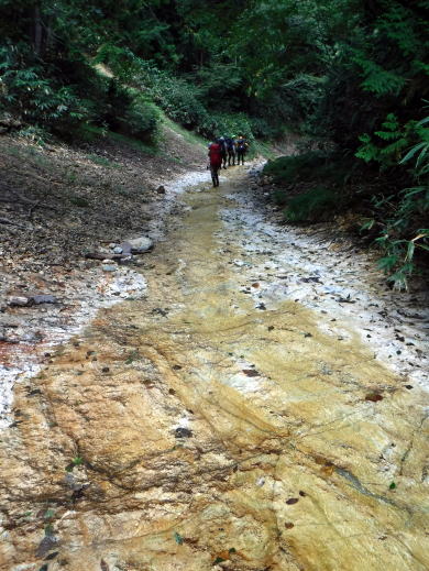 2020.9.21-22　根羽沢大薙沢左俣（沢登り）