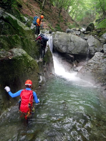 2020.8.8　鶏冠谷右俣（沢登り）