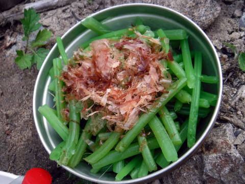 2020.8.14-16 奥只見・シロウ沢~中門沢~会津駒ヶ岳(沢登り)