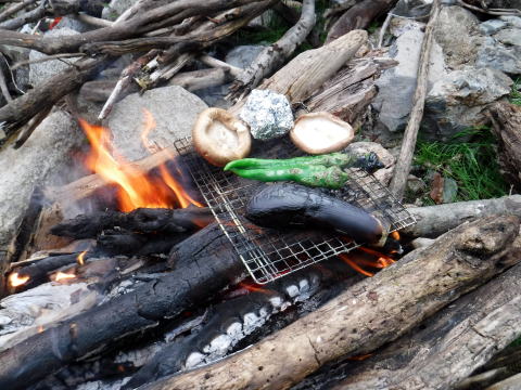 2020.8.14-16 奥只見・シロウ沢~中門沢~会津駒ヶ岳(沢登り)