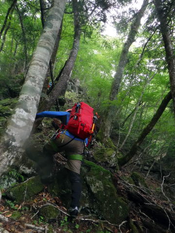 2020.8.8　鶏冠谷右俣（沢登り）