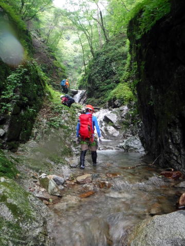 2020.8.8　鶏冠谷右俣（沢登り）