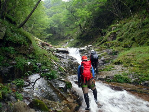 2020.8.8　鶏冠谷右俣（沢登り）