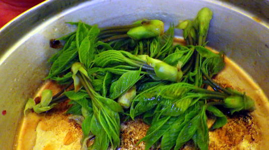 2022.5.3-5 会津駒ケ岳(雪山)