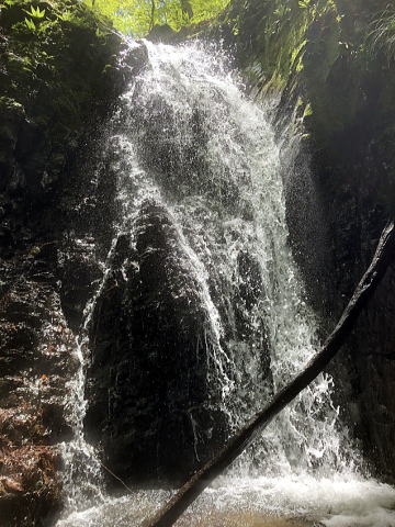 2022.4.23　熊倉沢左俣東沢（沢登り）