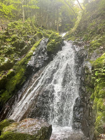 2022.4.23　熊倉沢左俣東沢（沢登り）