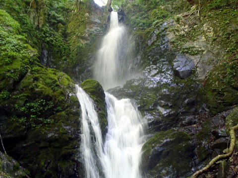 2022.5.29　鷹ノ巣谷（沢登り）