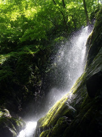 2022.5.29　鷹ノ巣谷（沢登り）