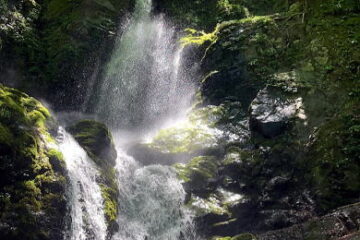 2022.5.29　鷹ノ巣谷（沢登り）