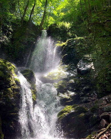 2022.5.29　鷹ノ巣谷（沢登り）