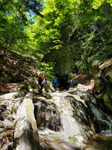 2022.6.4　鶏冠谷左俣（沢登り）