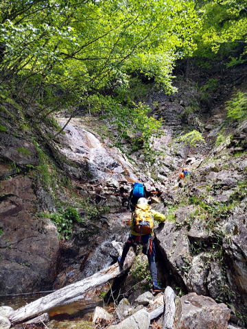 2022.6.4　鶏冠谷左俣（沢登り）