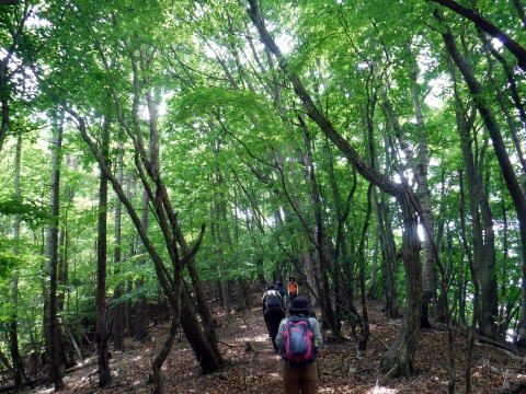 2022.6.5 御前山(尾根歩き)