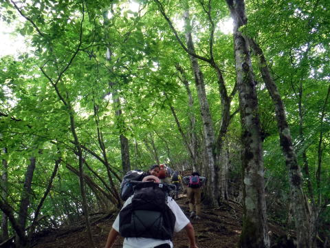 2022.6.5 御前山(尾根歩き)