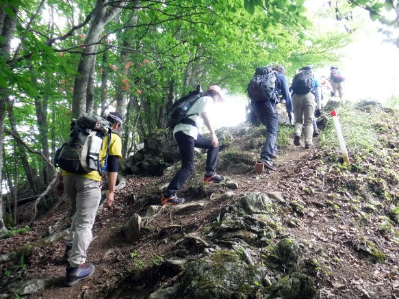 2022.6.5 御前山(尾根歩き)