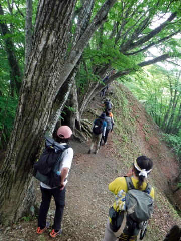 2022.6.5 御前山(尾根歩き)